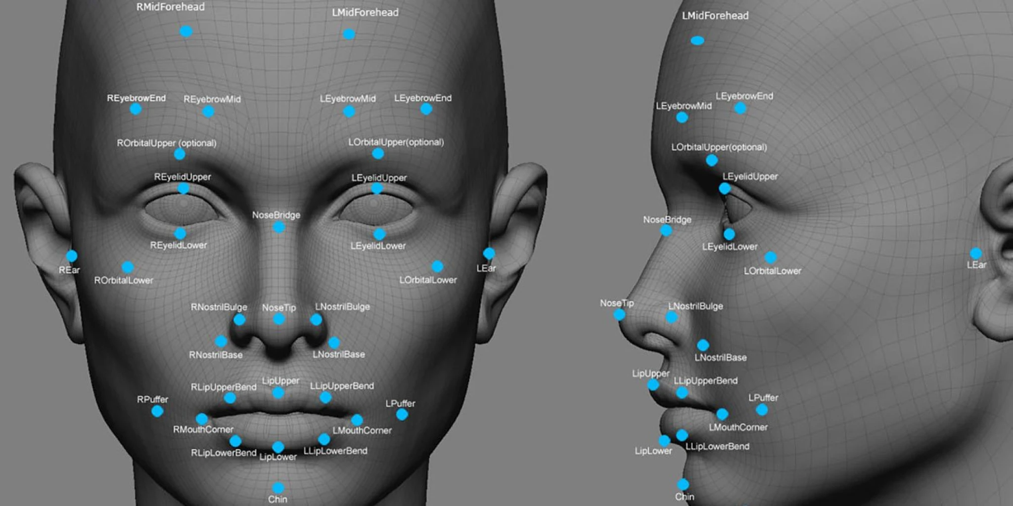Face recognition image