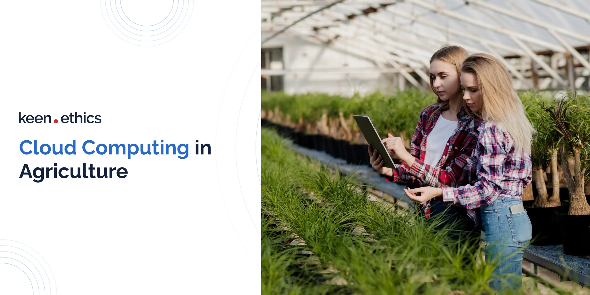 Cloud Computing in Agriculture